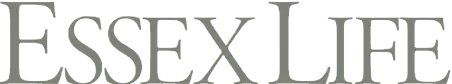 Developer in Essex